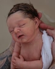 Baby Raleigh - Image 8