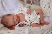 Baby Maple - Image 12