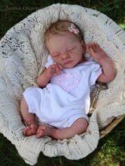 Baby Maple - Image 3