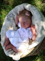Baby Maple - Image 8