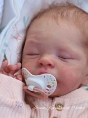 Baby Maple - Image 9