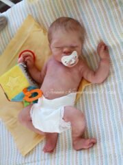 Baby Maple - Image 7