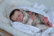 Baby Irys - Image 2