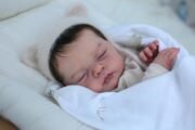 Baby Irys - Image 5